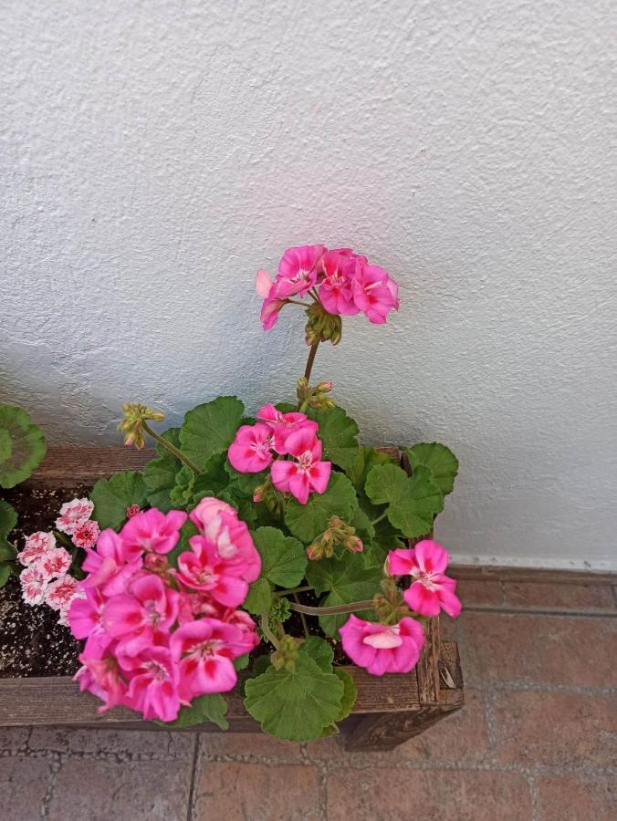 Vasiliki Apartment Tesalonika Bagian luar foto